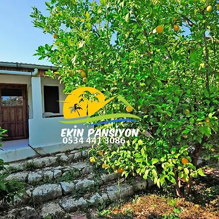 Ekin Kekova 民宿