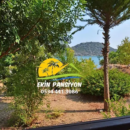 Ekin Kekova كالينجاغيس