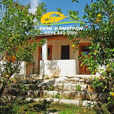Ekin Kekova كالينجاغيس